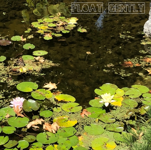 Meet your Posher, Jesus - Picture 3 of 3